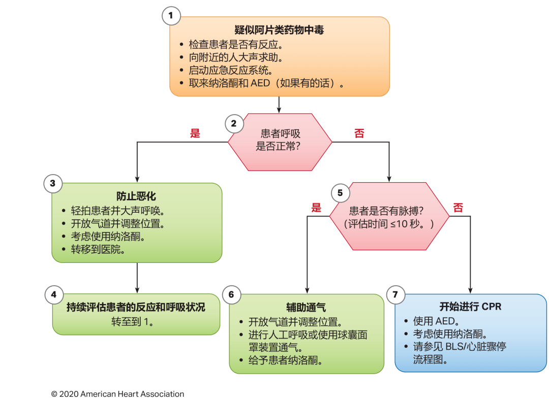 心肺复苏最新流程图，关键步骤与重要性解析